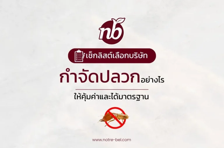 ภาพประกอบบทความเช็กลิสต์การเลือกบริษัทกำจัดปลวกให้คุ้มค่าและได้มาตรฐานสำหรับองค์กร